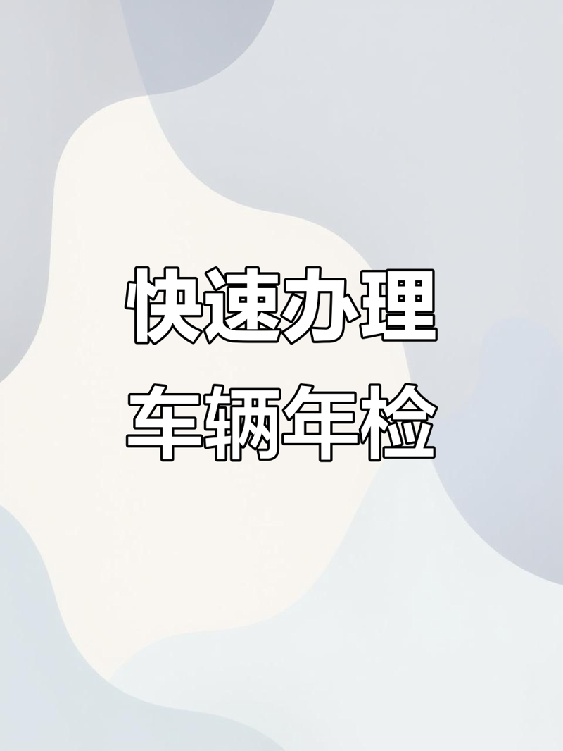 车辆检测站：保障安全与信任的桥梁
