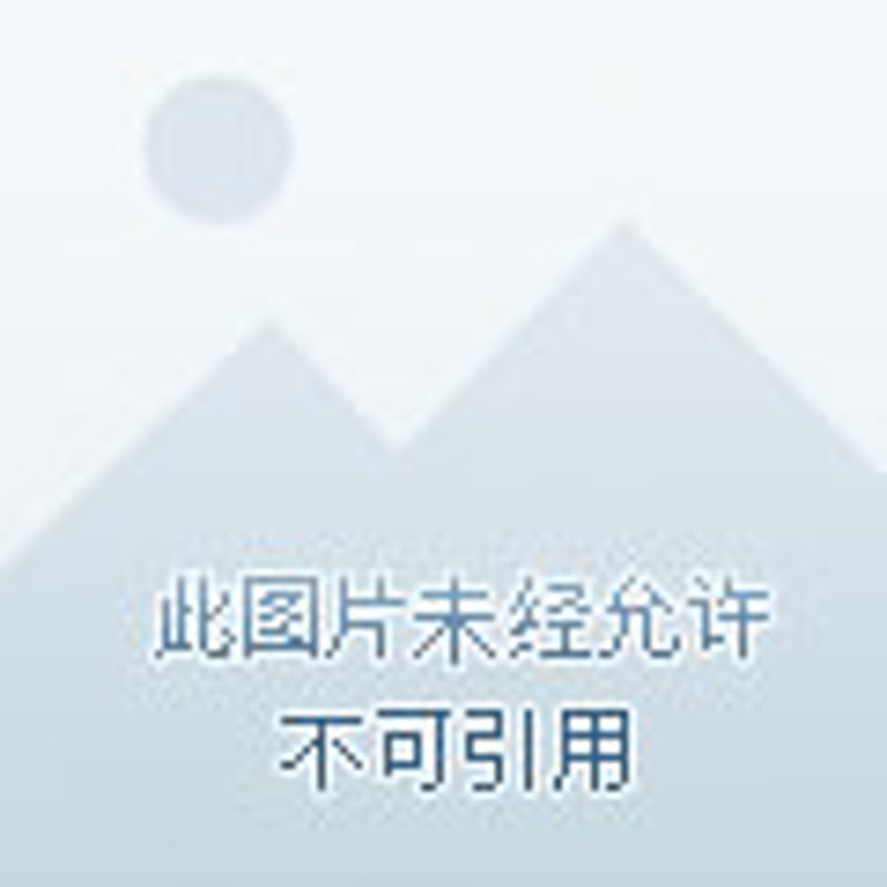 车辆检测站：保障安全与信任的桥梁